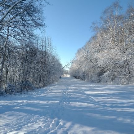 OliverDD5's profile picture. 