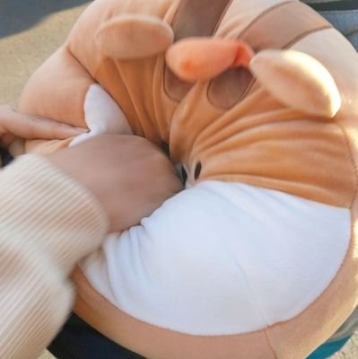 김계란さんのプロフィール画像