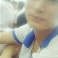 Robin FRAZIER ❤️ Memecoin (@robinfr21573509) 's Twitter Profile