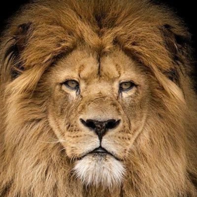 UltraRonin's profile picture. Looking to be part of the change by helping others to see the truth and learn to be a blessing onto others.