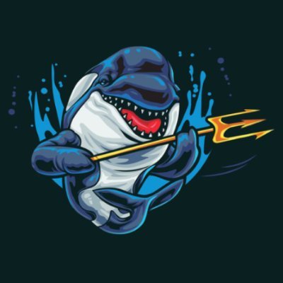 #crpypto #whale #block