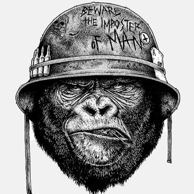 mollura's profile picture. #bitcoin