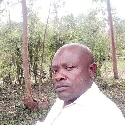 HMukholi's profile picture. 