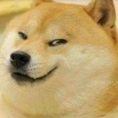 NguynQu90216326's profile picture. 