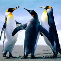 Sakima Leatham ❤️ Memecoin (@leathamsakima) 's Twitter Profile