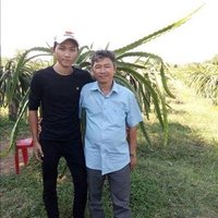Pedro Hare ❤️ Memecoin (@hare_pedro) 's Twitter Profile