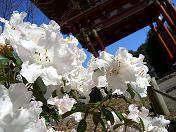 Associate Professor of composition, rhetoric, and writing. Creative. Present. Always learning and growing.