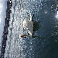 Ransley Davie ❤️ Memecoin (@davieransley) 's Twitter Profile