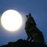 JHWon10's profile picture. 질겨도 저렇게 질긴 놈은 첨 본다.
갈 때까지 가보자.