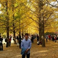 Landen Harland ❤️ Memecoin (@harlandlanden) 's Twitter Profile