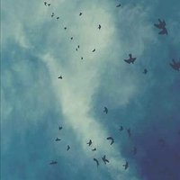 Zina Leaming ❤️ Memecoin (@leamingzina) Twitter profile photo