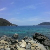 Tansy Pagination ❤️ Memecoin (@paginationtansy) 's Twitter Profile