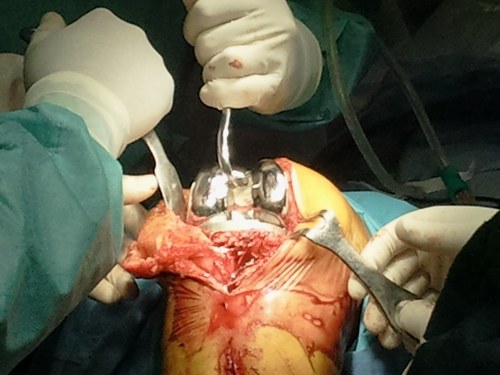 Yurij's profile picture. @beccaria.on.the.bright.side
Roma - Modena - Reggio Calabria :-)