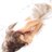 twitter profile