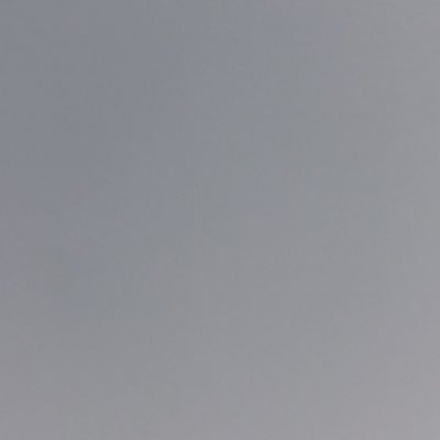 tomate04567's profile picture. 