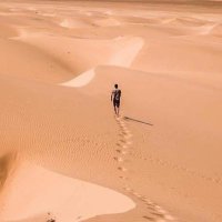 متفهم 👌 (@l2eln) Twitter profile photo