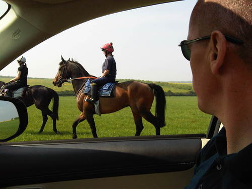 Former jump jockey-turned racehorse trainer and zealot. Currently overseeing Newmarket pre-training