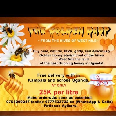 Buy organic, thick, gritty, and deliciously Golden honey straight out of the hives of West Nile 🍯 😋🤤 at only 22k a litre  DM to order.