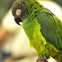 まいきー (@maiky_boo) Twitter profile photo