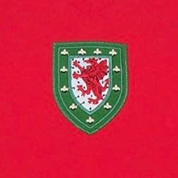 Reminiscing of past days from the worlds 3rd oldest Football Association @FAWales (est. 1876) Please share any @Cymru memorabilia you have!