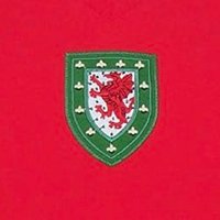 Retro Cymru/Wales ⚽️🏴󠁧󠁢󠁷󠁬󠁳󠁿(@RetroFAWales) 's Twitter Profileg