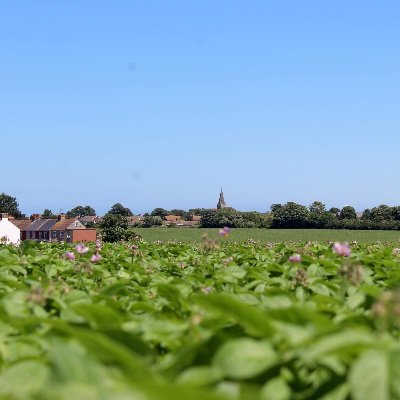 Save Our Fields, Westgate & Garlinge, Kent 🍃💚🍃 Profile