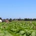 Save Our Fields, Westgate & Garlinge, Kent ๐๐๐ (@ourwestgate) Twitter profile photo Save Our Fields, Westgate & Garlinge, Kent ๐๐๐ (@ourwestgate) Twitter profile photo