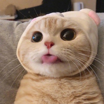 finalflash2210's profile picture. 