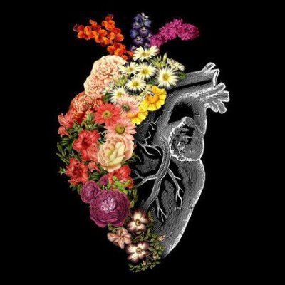 AmoTuaSaude's profile picture. Gerontologia e Geriatria. Amor pela tua saúde! Sou estudante universitário. Posto sobre o que estudo. Não necessariamente eu sei o que estou falando ainda.