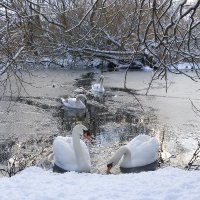 Figgate Park (@figgatepark) 's Twitter Profile