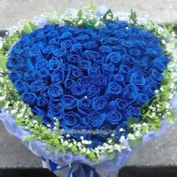 Reginald Harder ❤️ Memecoin (@reginaldharder) 's Twitter Profile