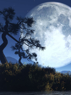 gsb0915's profile picture. 