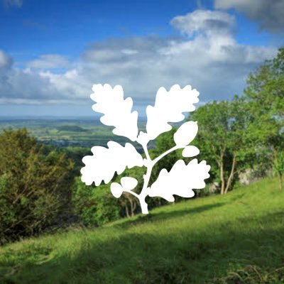 The official Twitter page for the National Trust in the Somerset countryside. We are a charity with a love for some of the most special places in the country.