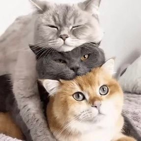 h1code2's profile picture. 