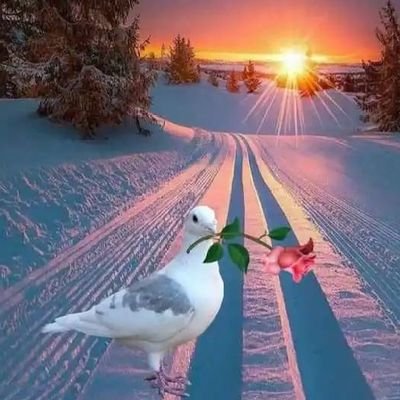 avinashck77's profile picture. 