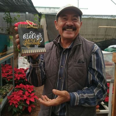 Ing. Agronomo, Viverista, Productor de Orquideas, Bromelias y cultivos artesanales