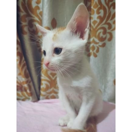 bhaktigurav29's profile picture. Stay a mystery.... it's better!