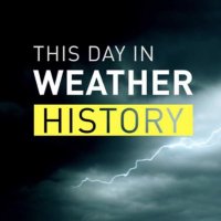 Chris Mei (@meidaytwn) 's Twitter Profile