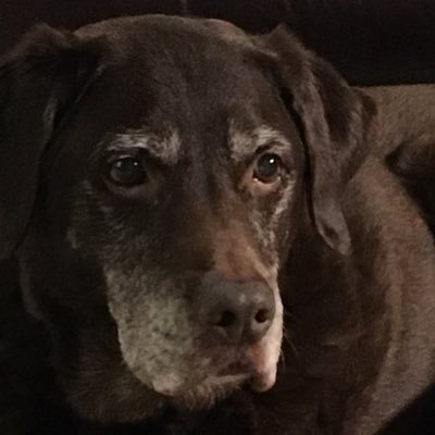 LouiseRoxby's profile picture. 