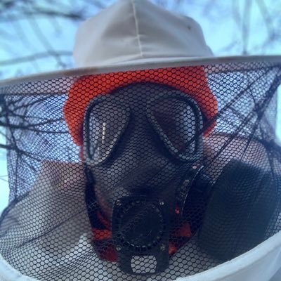 Irishbeekeeper's profile picture. Beekeeping enthusiast located in Ireland, Would love to hear your bee related stories Currently keeping apis mellifera mellifera #savethebees #swarmreport
