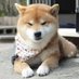 M1n9X (@m1n9x) Twitter profile photo M1n9X (@m1n9x) Twitter profile photo