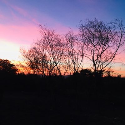 𝒮𝑜𝓂𝑒𝓉𝒾𝓂𝑒𝓈, 𝓉𝒽𝑒 𝓂𝑜𝓈𝓉 𝒾𝓂𝓅𝑜𝓇𝓉𝒶𝓃𝓉 𝓁𝑒𝓈𝓈𝑜𝓃𝓈 𝒾𝓃 𝓁𝒾𝒻𝑒 𝒶𝓇𝑒 𝓉𝒽𝑒 𝑜𝓃𝑒𝓈 𝓌𝑒 𝓁𝑒𝒶𝓇𝓃 𝓉𝒽𝑒 𝒽𝒶𝓇𝒹 𝓌𝒶𝓎