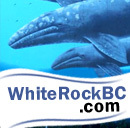 whiterockbccom's profile picture. 