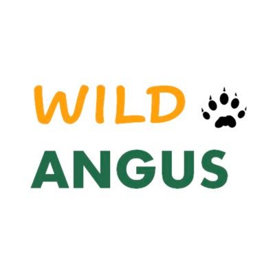 wildangusNEScot's profile picture. Restoration Ecologist | Wildlife Tourism | 🌍 Travel, Mammals & Mustelids | Director @angustourism | SWT TN | @marinelifeangus #SaveOurSmallBlue 🦋🐾