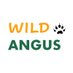 Wild Angus (@wildangusnescot) Twitter profile photo Wild Angus (@wildangusnescot) Twitter profile photo