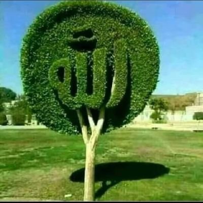 ‏‏اَللّٰهُمَّ اغْفِرْلِيْ وَلِلْمُؤْمِنِيْنَ وَالْمُؤْمِنَاتِ وَالْمُسْلِمِيْنَ وَالْمُسْلِمَاتِ