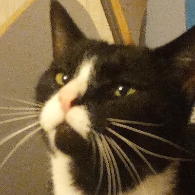 LokiGotStyle's profile picture. im just out here fuckin bitches