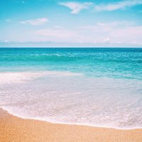 Madeleine Richardson (@madelei79067106) 's Twitter Profile Photo Madeleine Richardson (@madelei79067106) 's Twitter Profile Photo