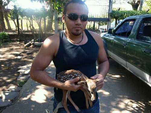 jlrsoto's profile picture. 