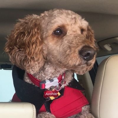wcollins1020's profile picture. Biotech attorney @goodwinlaw
Opinions are my own but are also correct.